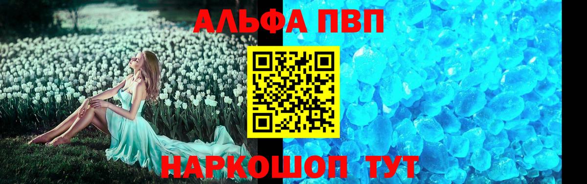 Альфа ПВП СК Балтийск