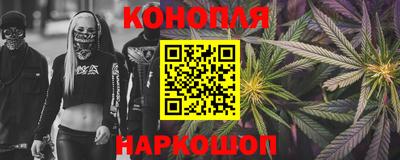 прущие грибы Краснодар