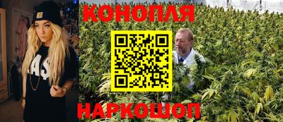 прущие грибы Краснодар
