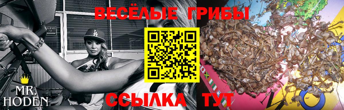 Псилоцибиновые грибы MAGIC MUSHROOMS Балтийск